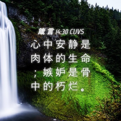 Picture 04 - 箴 言 14:30 CUVS - 心 中 安 静 是 肉 体 的 生 命 ； 嫉 - Bible Verse Picture