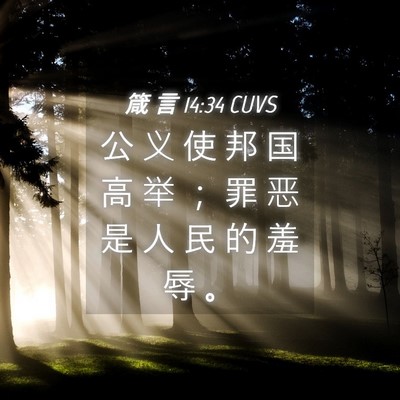 Picture 04 - 箴 言 14:34 CUVS - 公 义 使 邦 国 高 举 ； 罪 恶 是 人 - Bible Verse Picture