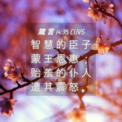 Picture 04 - 箴 言 14:35 CUVS - 智 慧 的 臣 子 蒙 王 恩 惠 ； 贻 羞 - Bible Verse Picture