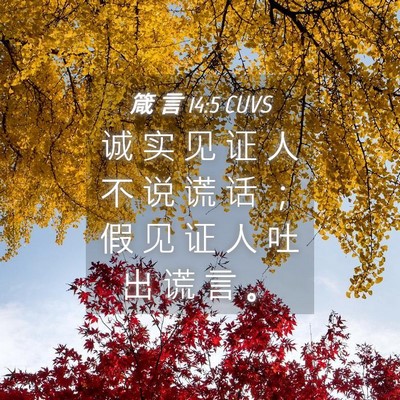 Picture 04 - 箴 言 14:5 CUVS - 诚 实 见 证 人 不 说 谎 话 ； 假 见 - Bible Verse Picture