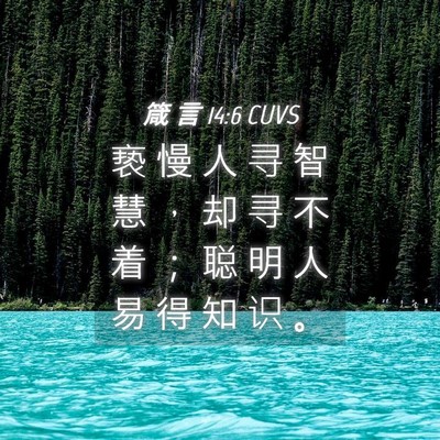 Picture 04 - 箴 言 14:6 CUVS - 亵 慢 人 寻 智 慧 ， 却 寻 不 着 ； - Bible Verse Picture