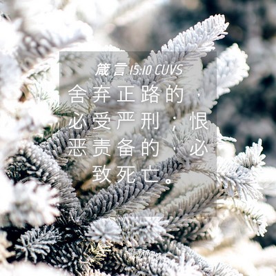 Picture 04 - 箴 言 15:10 CUVS - 舍 弃 正 路 的 ， 必 受 严 刑 ； 恨 - Bible Verse Picture