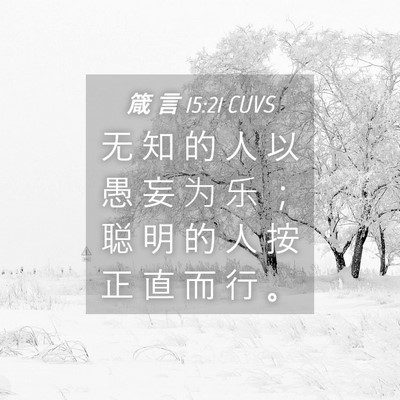Picture 04 - 箴 言 15:21 CUVS - 无 知 的 人 以 愚 妄 为 乐 ； 聪 明 - Bible Verse Picture