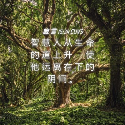 Picture 04 - 箴 言 15:24 CUVS - 智 慧 人 从 生 命 的 道 上 升 ， 使 - Bible Verse Picture