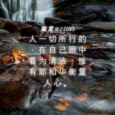Picture 04 - 箴 言 16:2 CUVS - 人 一 切 所 行 的 ， 在 自 己 眼 中 - Bible Verse Picture