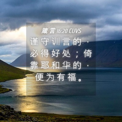 Picture 04 - 箴 言 16:20 CUVS - 谨 守 训 言 的 ， 必 得 好 处 ； 倚 - Bible Verse Picture