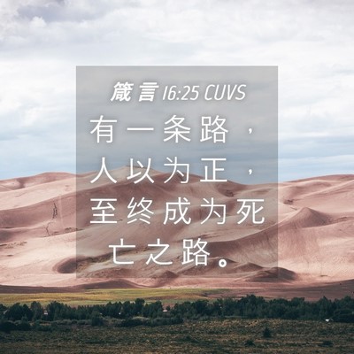 Picture 04 - 箴 言 16:25 CUVS - 有 一 条 路 ， 人 以 为 正 ， 至 终 - Bible Verse Picture