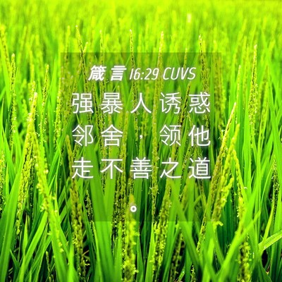 Picture 04 - 箴 言 16:29 CUVS - 强 暴 人 诱 惑 邻 舍 ， 领 他 走 不 - Bible Verse Picture