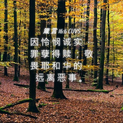 Picture 04 - 箴 言 16:6 CUVS - 因 怜 悯 诚 实 ， 罪 孽 得 赎 ； 敬 - Bible Verse Picture