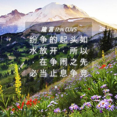 Picture 04 - 箴 言 17:14 CUVS - 纷 争 的 起 头 如 水 放 开 ， 所 以 - Bible Verse Picture