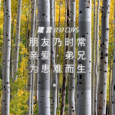 Picture 04 - 箴 言 17:17 CUVS - 朋 友 乃 时 常 亲 爱 ， 弟 兄 为 患 - Bible Verse Picture