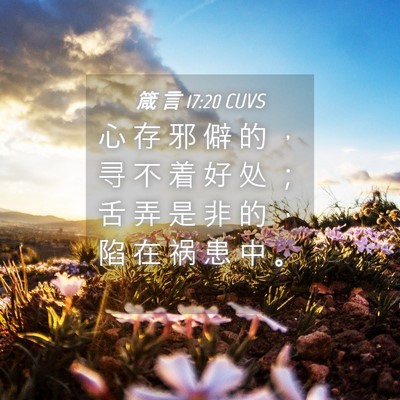Picture 04 - 箴 言 17:20 CUVS - 心 存 邪 僻 的 ， 寻 不 着 好 处 ； - Bible Verse Picture