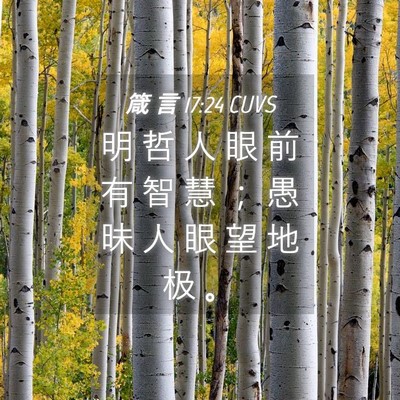 Picture 04 - 箴 言 17:24 CUVS - 明 哲 人 眼 前 有 智 慧 ； 愚 昧 人 - Bible Verse Picture