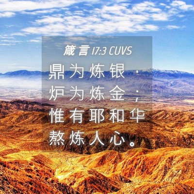 Picture 04 - 箴 言 17:3 CUVS - 鼎 为 炼 银 ， 炉 为 炼 金 ； 惟 有 - Bible Verse Picture