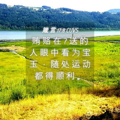 Picture 04 - 箴 言 17:8 CUVS - 贿 赂 在 ? 送 的 人 眼 中 看 为 宝 玉 - Bible Verse Picture