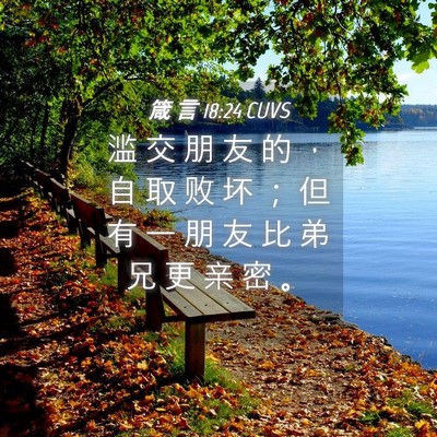 Picture 04 - 箴 言 18:24 CUVS - 滥 交 朋 友 的 ， 自 取 败 坏 ； 但 - Bible Verse Picture