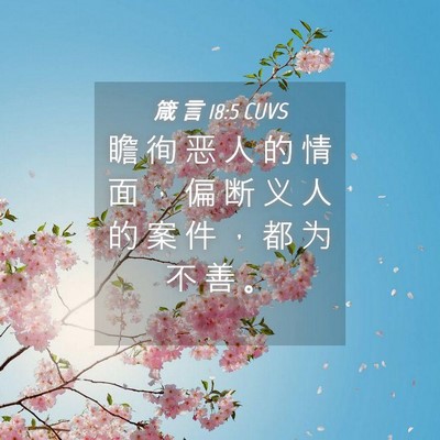 Picture 04 - 箴 言 18:5 CUVS - 瞻 徇 恶 人 的 情 面 ， 偏 断 义 人 - Bible Verse Picture