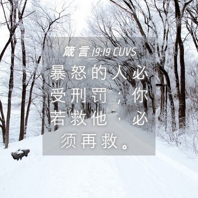 Picture 04 - 箴 言 19:19 CUVS - 暴 怒 的 人 必 受 刑 罚 ； 你 若 救 - Bible Verse Picture