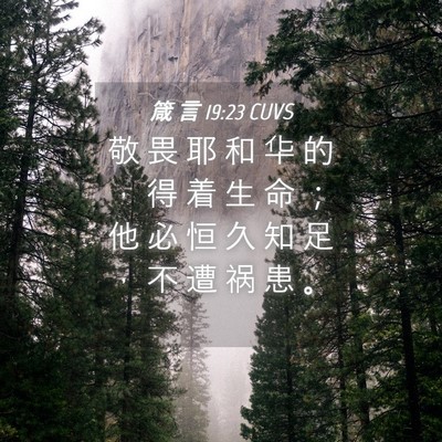 Picture 04 - 箴 言 19:23 CUVS - 敬 畏 耶 和 华 的 ， 得 着 生 命 ； - Bible Verse Picture