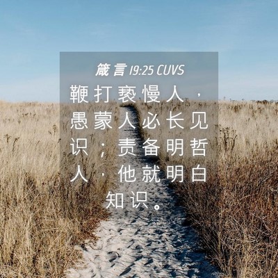 Picture 04 - 箴 言 19:25 CUVS - 鞭 打 亵 慢 人 ， 愚 蒙 人 必 长 见 - Bible Verse Picture