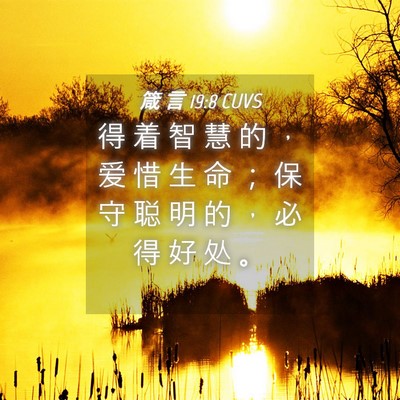 Picture 04 - 箴 言 19:8 CUVS - 得 着 智 慧 的 ， 爱 惜 生 命 ； 保 - Bible Verse Picture