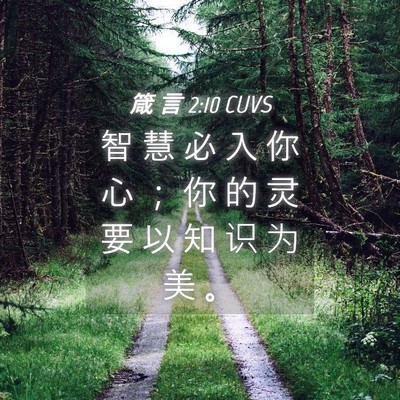 Picture 04 - 箴 言 2:10 CUVS - 智 慧 必 入 你 心 ； 你 的 灵 要 以 - Bible Verse Picture