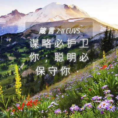 Picture 04 - 箴 言 2:11 CUVS - 谋 略 必 护 卫 你 ； 聪 明 必 保 守 - Bible Verse Picture