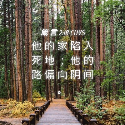 Picture 04 - 箴 言 2:18 CUVS - 他 的 家 陷 入 死 地 ； 他 的 路 偏 - Bible Verse Picture