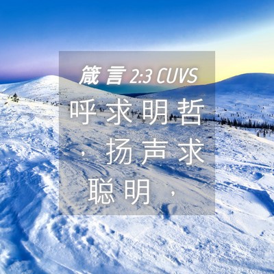 Picture 04 - 箴 言 2:3 CUVS - 呼 求 明 哲 ， 扬 声 求 聪 明 - Bible Verse Picture