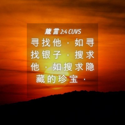 Picture 04 - 箴 言 2:4 CUVS - 寻 找 他 ， 如 寻 找 银 子 ， 搜 求 - Bible Verse Picture