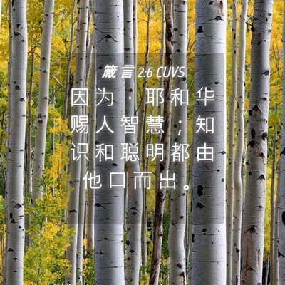 Picture 04 - 箴 言 2:6 CUVS - 因 为 ， 耶 和 华 赐 人 智 慧 ； 知 - Bible Verse Picture
