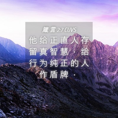 Picture 04 - 箴 言 2:7 CUVS - 他 给 正 直 人 存 留 真 智 慧 ， 给 - Bible Verse Picture