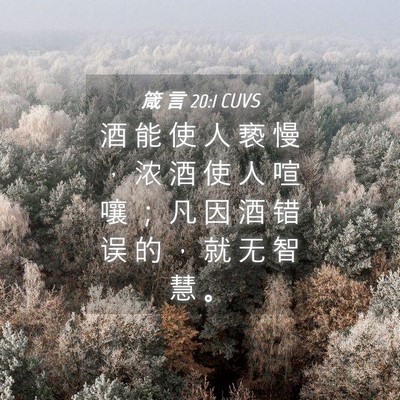 Picture 04 - 箴 言 20:1 CUVS - 酒 能 使 人 亵 慢 ， 浓 酒 使 人 喧 - Bible Verse Picture