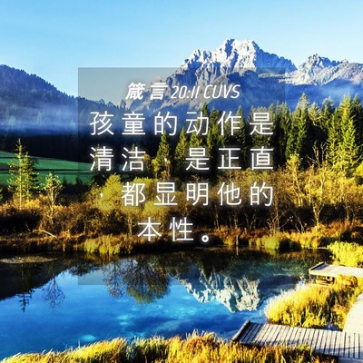 Picture 04 - 箴 言 20:11 CUVS - 孩 童 的 动 作 是 清 洁 ， 是 正 直 - Bible Verse Picture