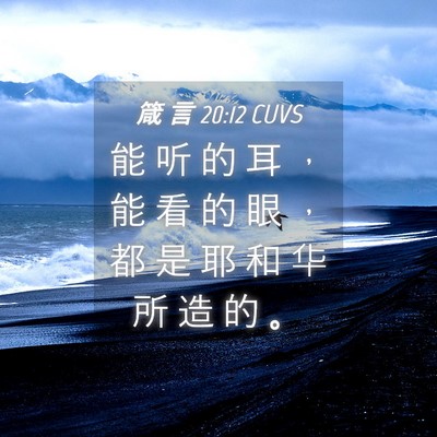 Picture 04 - 箴 言 20:12 CUVS - 能 听 的 耳 ， 能 看 的 眼 ， 都 是 - Bible Verse Picture