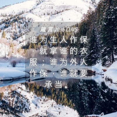 Picture 04 - 箴 言 20:16 CUVS - 谁 为 生 人 作 保 ， 就 拿 谁 的 衣 - Bible Verse Picture