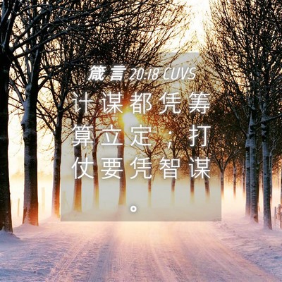 Picture 04 - 箴 言 20:18 CUVS - 计 谋 都 凭 筹 算 立 定 ； 打 仗 要 - Bible Verse Picture