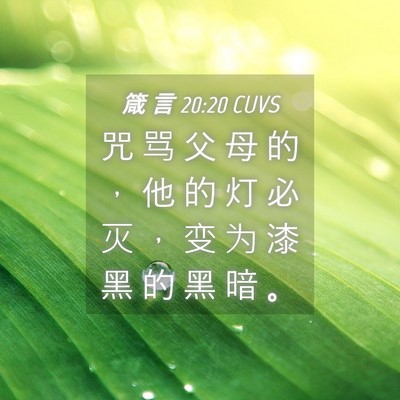 Picture 04 - 箴 言 20:20 CUVS - 咒 骂 父 母 的 ， 他 的 灯 必 灭 ， - Bible Verse Picture