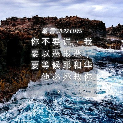 Picture 04 - 箴 言 20:22 CUVS - 你 不 要 说 ， 我 要 以 恶 报 恶 ； - Bible Verse Picture