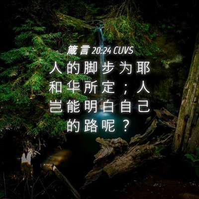 Picture 04 - 箴 言 20:24 CUVS - 人 的 脚 步 为 耶 和 华 所 定 ； 人 - Bible Verse Picture