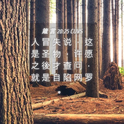 Picture 04 - 箴 言 20:25 CUVS - 人 冒 失 说 ， 这 是 圣 物 ， 许 愿 - Bible Verse Picture