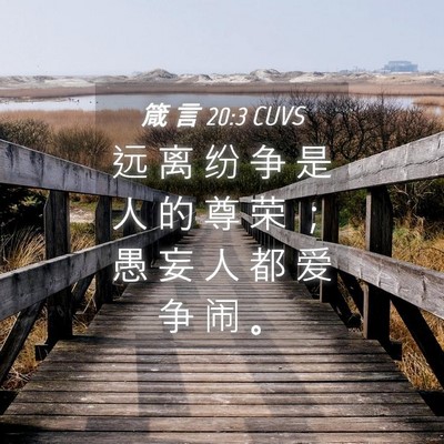 Picture 04 - 箴 言 20:3 CUVS - 远 离 纷 争 是 人 的 尊 荣 ； 愚 妄 - Bible Verse Picture