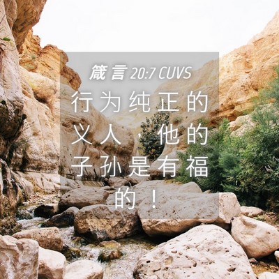 Picture 04 - 箴 言 20:7 CUVS - 行 为 纯 正 的 义 人 ， 他 的 子 孙 - Bible Verse Picture