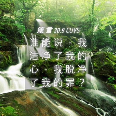 Picture 04 - 箴 言 20:9 CUVS - 谁 能 说 ， 我 洁 净 了 我 的 心 ， - Bible Verse Picture