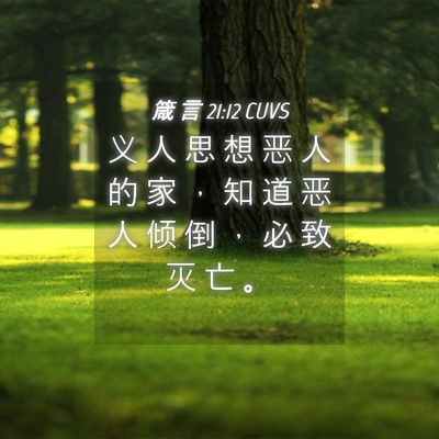 Picture 04 - 箴 言 21:12 CUVS - 义 人 思 想 恶 人 的 家 ， 知 道 恶 - Bible Verse Picture