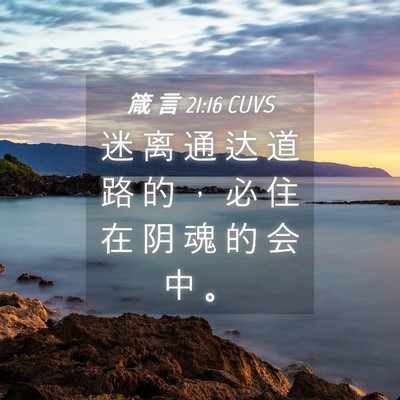 Picture 04 - 箴 言 21:16 CUVS - 迷 离 通 达 道 路 的 ， 必 住 在 阴 - Bible Verse Picture
