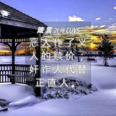 Picture 04 - 箴 言 21:18 CUVS - 恶 人 作 了 义 人 的 赎 价 ； 奸 诈 - Bible Verse Picture