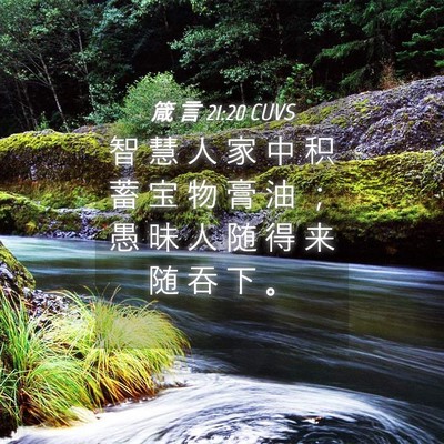 Picture 04 - 箴 言 21:20 CUVS - 智 慧 人 家 中 积 蓄 宝 物 膏 油 ； - Bible Verse Picture