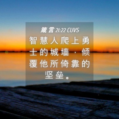 Picture 04 - 箴 言 21:22 CUVS - 智 慧 人 爬 上 勇 士 的 城 墙 ， 倾 - Bible Verse Picture