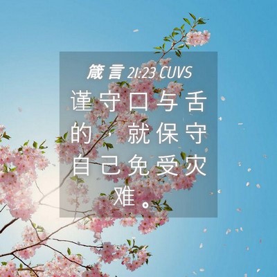 Picture 04 - 箴 言 21:23 CUVS - 谨 守 口 与 舌 的 ， 就 保 守 自 己 - Bible Verse Picture